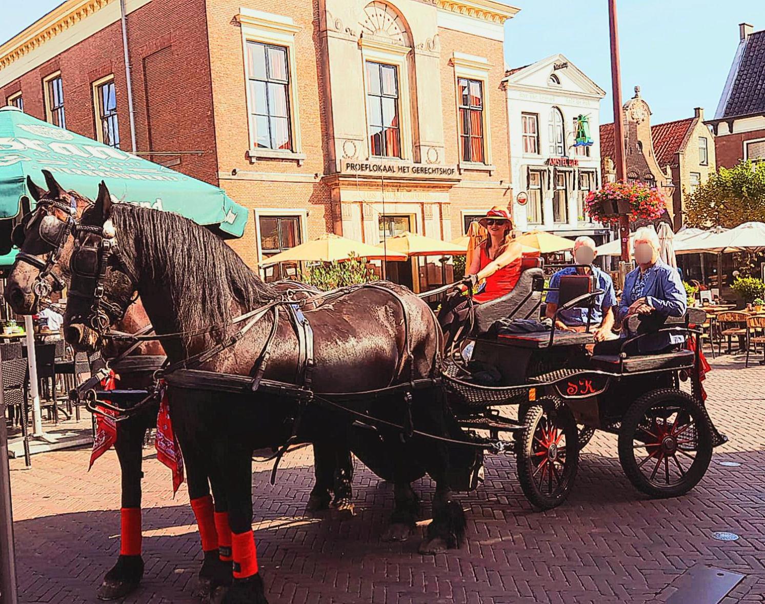 Stacaravan Op De Paardenboerderij Sneek Esterno foto